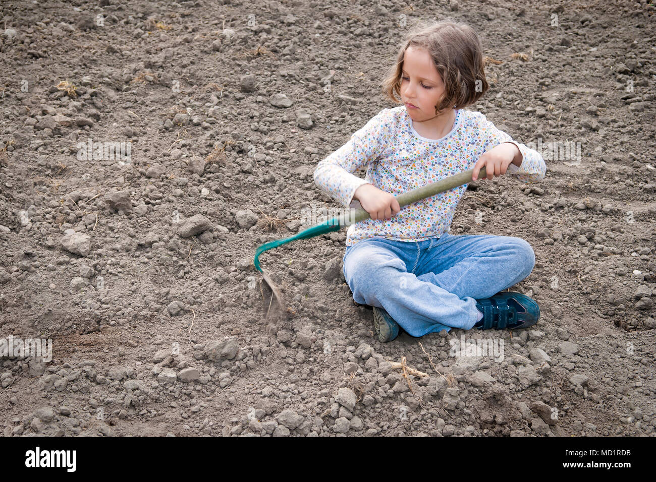 Girl digging in dry organic soil by hoe. Stock Photo