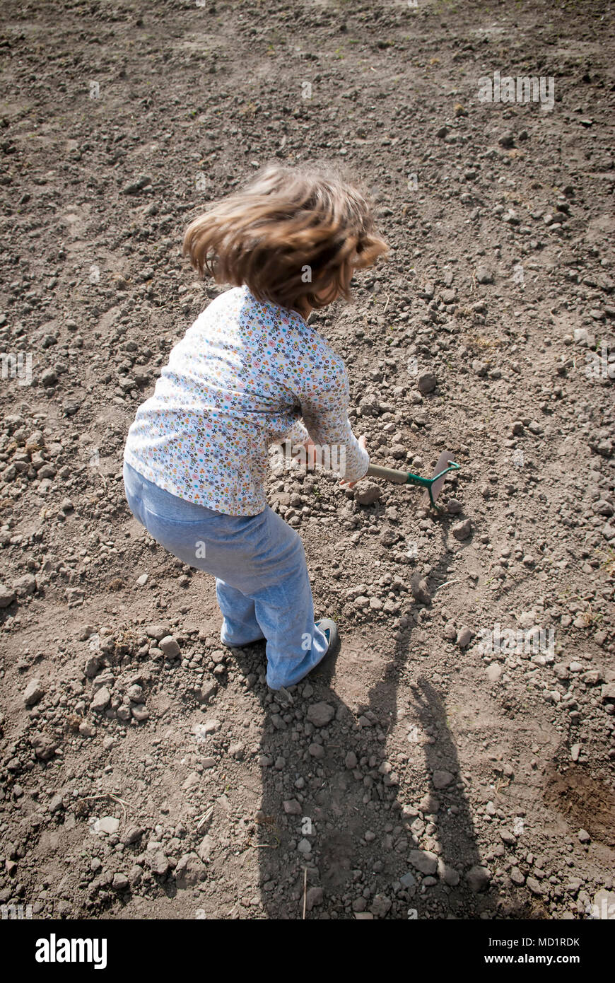 Girl digging in dry organic soil by hoe. Stock Photo