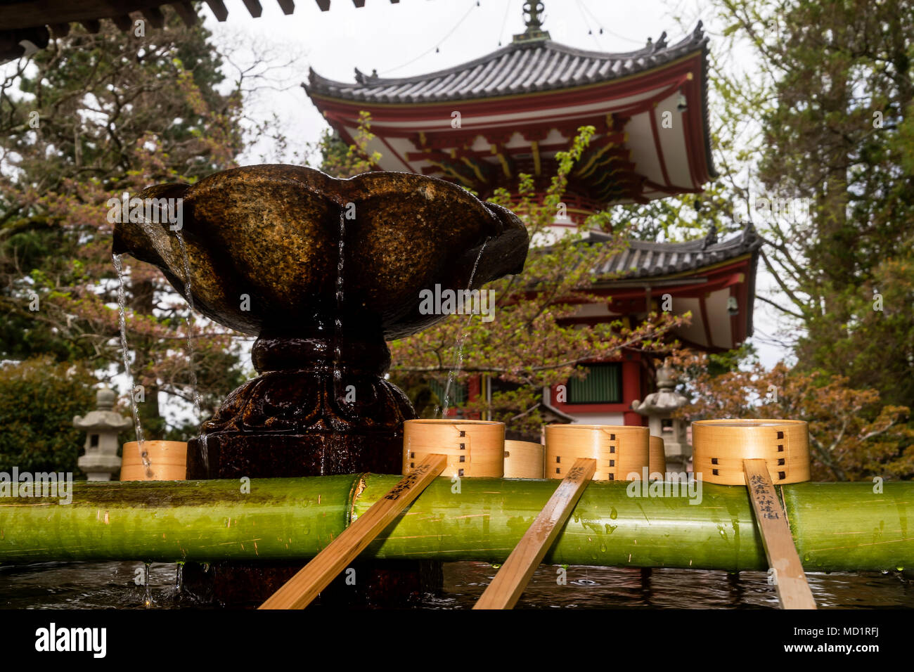 Lotus shaped purification basin and ladles on a bamboo fountain inside the Chion-in Temple of Kyoto, Japan Stock Photo