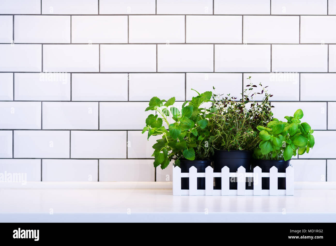 Mint, thyme, basil, parsley - aromatic kitchen herbs in white wooden ...