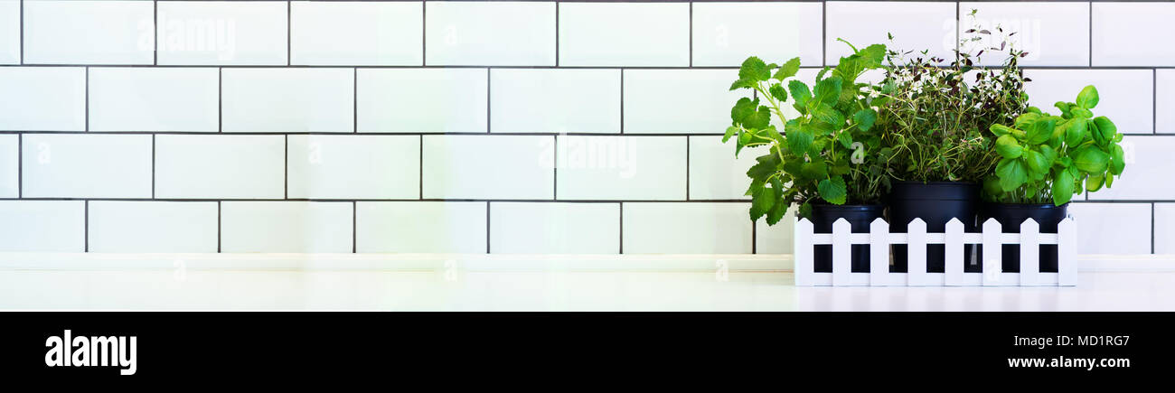 Mint, thyme, basil, parsley - aromatic kitchen herbs in white wooden ...