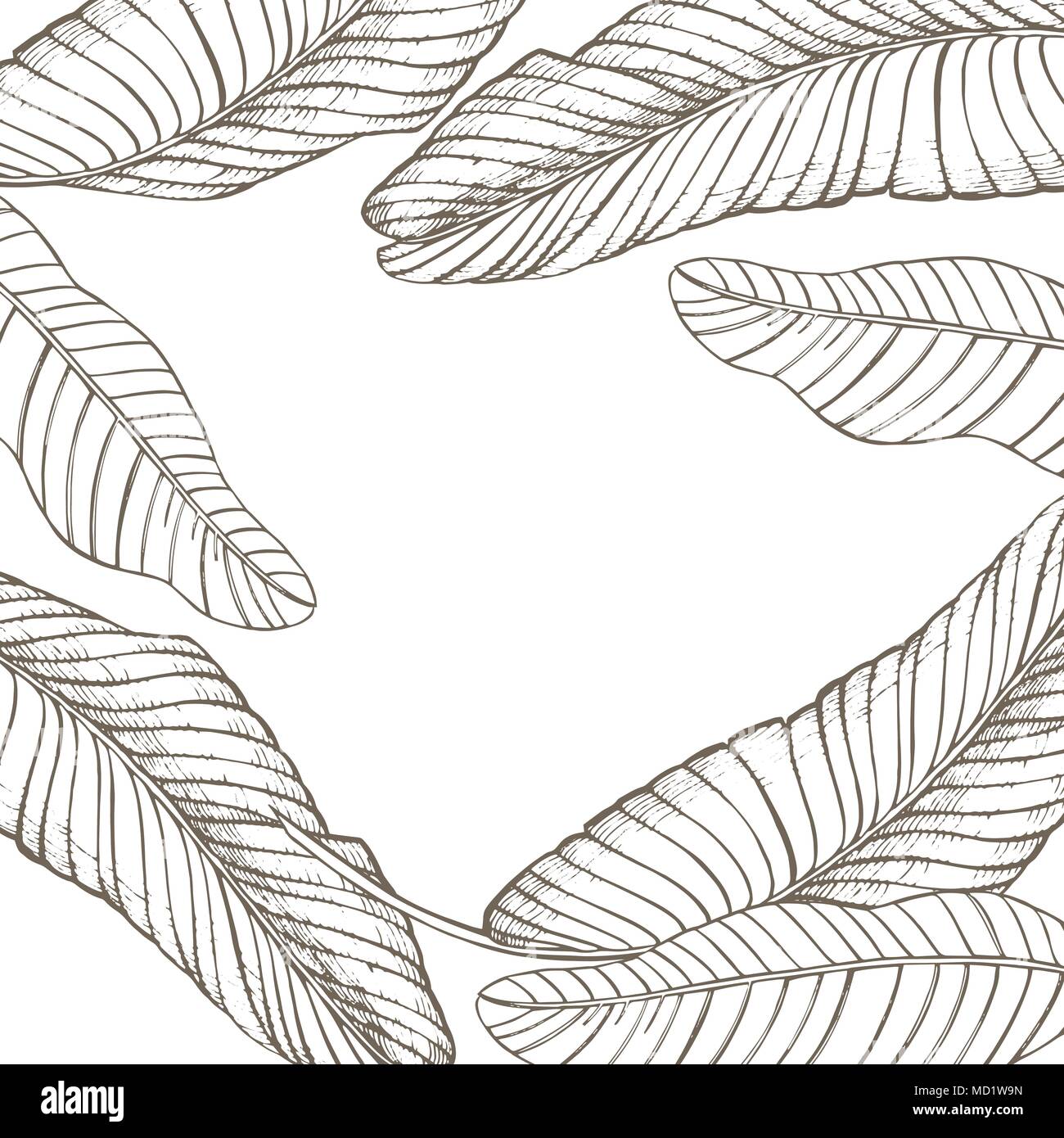 Summer tropical leaves vector design. Floral background illustration ...