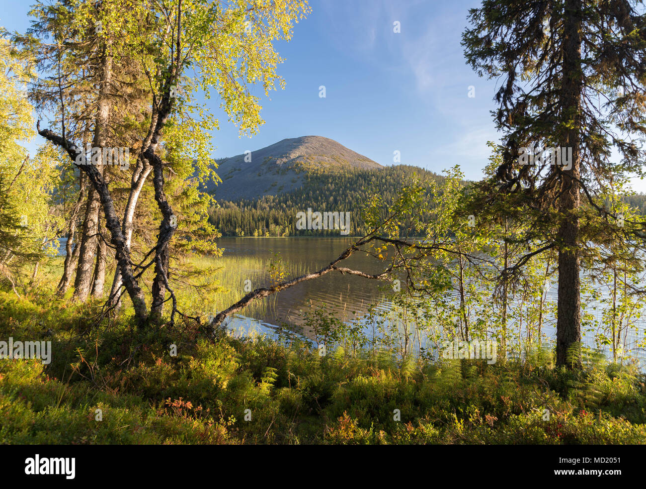 Lake Kesänkijärvi in Kolari, Lapland, Finland Stock Photo Alamy