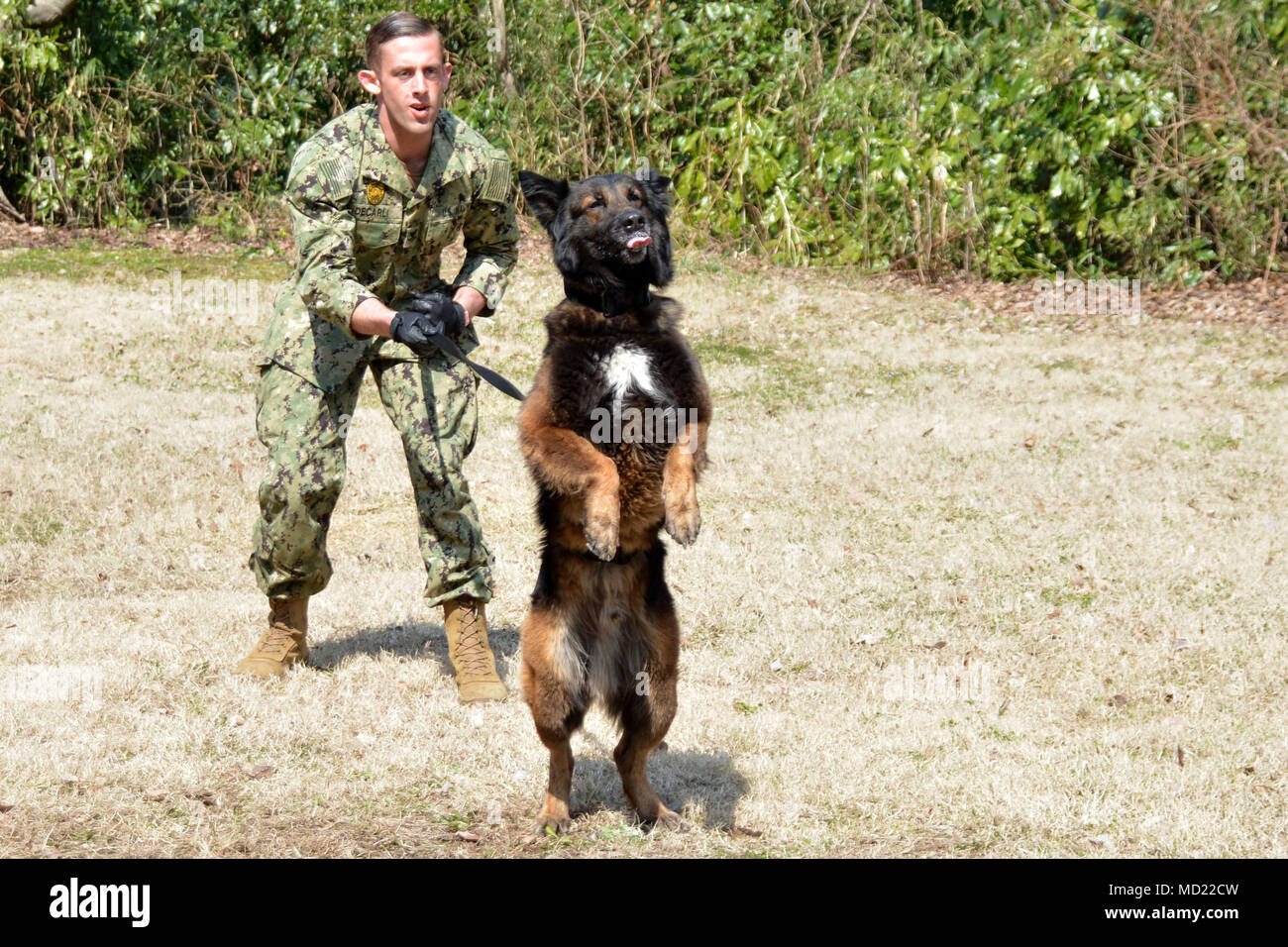 mwd military