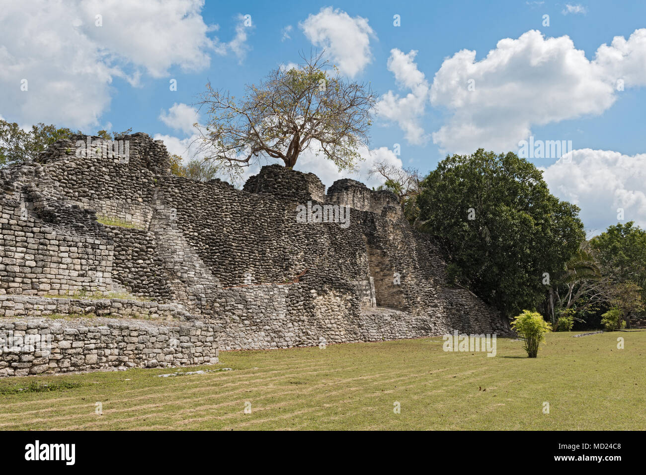 The ruins of the ancient Mayan city of Kohunlich, Quintana Roo, Mexico Stock Photo