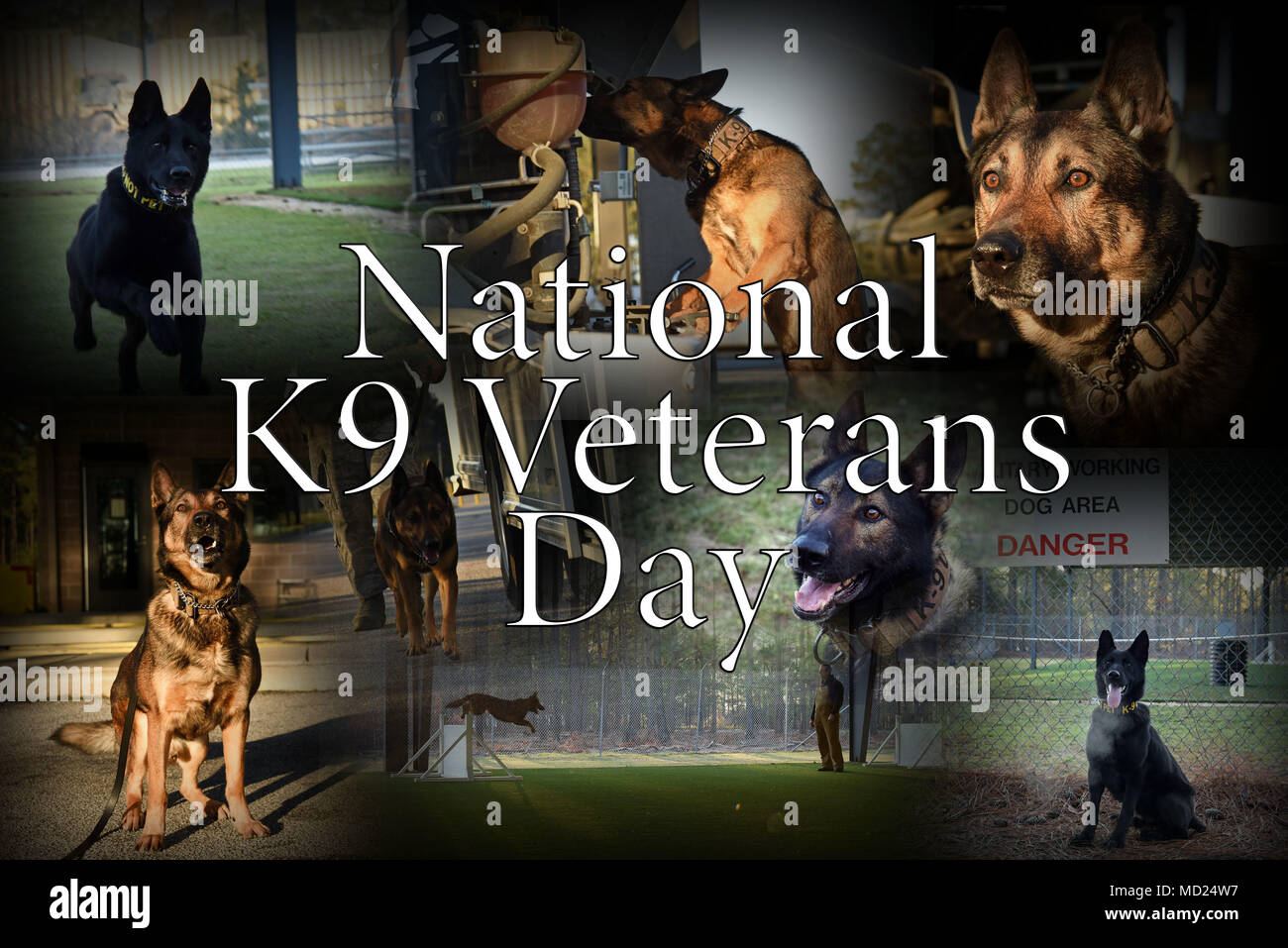 National K9 Veterans Day is March 13, 2018. U.S. Air Force Security
