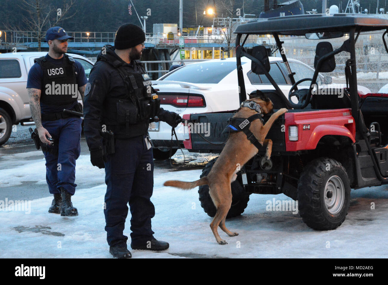 Canine Ricky and his handler Petty Officer 1st Class Jordan Brosowsky, a member of Coast Guard Maritime Safety and Security Team San Francisco (91105), conducts a sweep of the Alaska Marine Highway System ferry terminal parking lot in Juneau, Alaska, March 12, 2018. The Coast Guard, Alaska State Troopers and Juneau Police Department partnered together during the law enforcement operation to detect and deter illegal activity on Alaska's waterways. U.S. Coast Guard photo illustration by Lt. Brian Dykens. Stock Photo