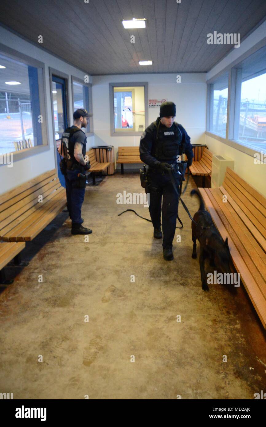 Canine Luna and his handler Petty Officer 1st Class Elliott Felix, a member of Coast Guard Maritime Safety and Security Team Seattle (91101), and Petty Officer 2nd Class Michael Shippen, a member of Coast Guard Station Juneau, conduct a sweep of the Alaska Marine Highway System ferry terminal in Juneau, Alaska, March 12, 2018. The Coast Guard and Alaska State Troopers partnered together during the law enforcement operation to detect and deter illegal activity on Alaska's waterways. U.S. Coast Guard photo by Lt. Brian Dykens. Stock Photo