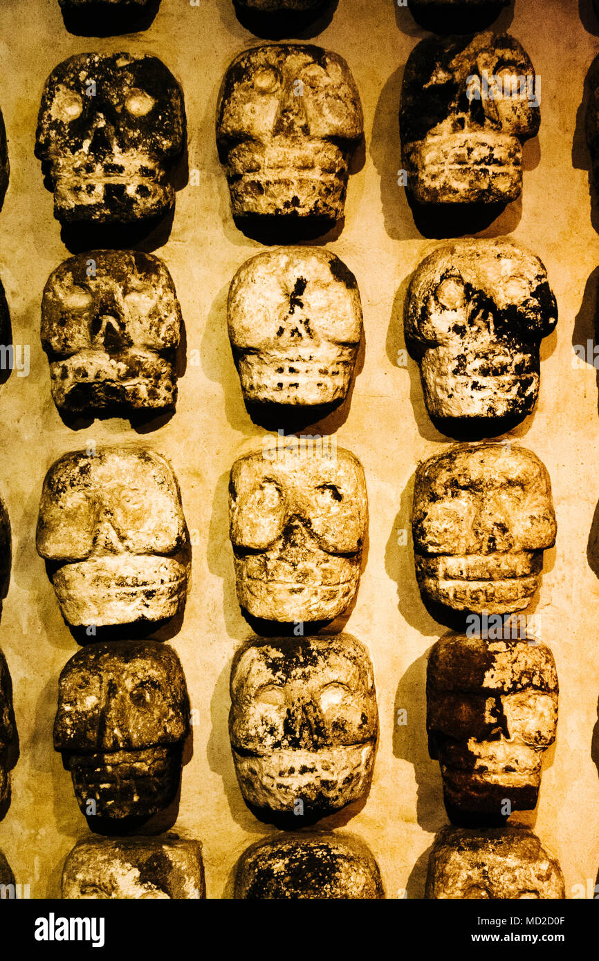 Aztec stone skulls found at the Templo Mayor site. They represent the tzompantli or skull racks where the heads of sacrificial victims were placed. Te Stock Photo
