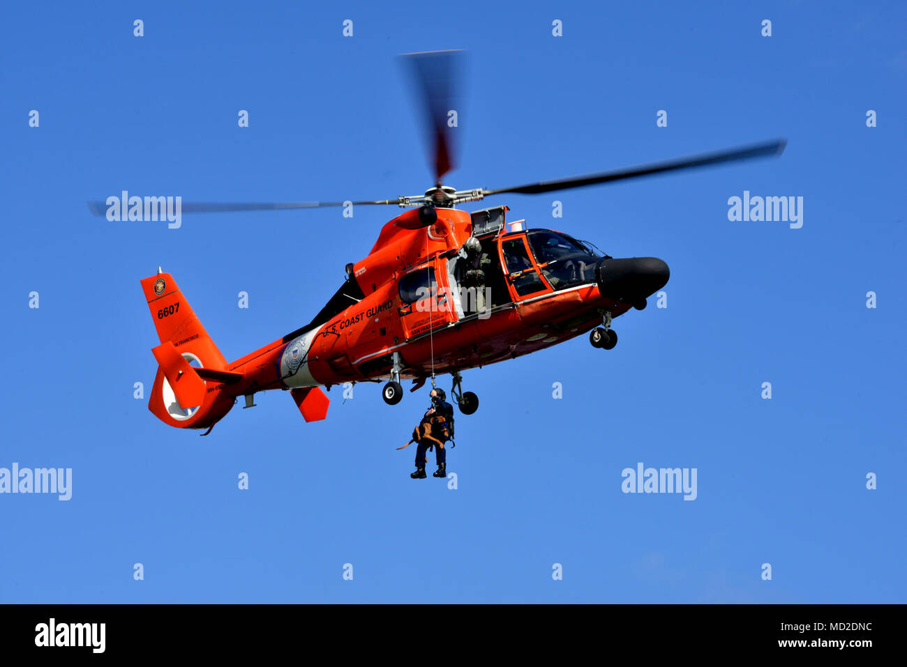DVIDS - Images - Coast Guard K-9 teams assist in Super Bowl LVII