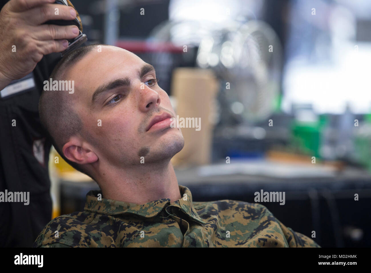 A recruit from Delta Company, 1st Recruit Training Battalion, receives a haircut at Marine Corps Recruit Depot San Diego, March 27. Recruits receive haircuts regularly during training to create uniformity and promote camaraderie. Annually, more than 17,000 males recruited from the Western Recruiting Region are trained MCRD San Diego. Delta Company is scheduled to graduate June 1. Stock Photo