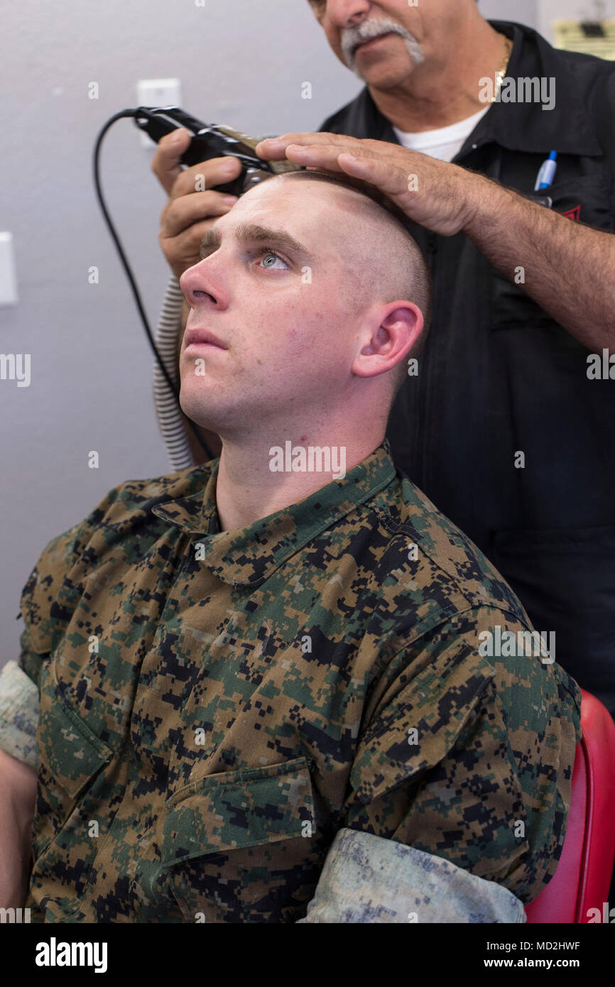 A recruit from Delta Company, 1st Recruit Training Battalion, receives a haircut at Marine Corps Recruit Depot San Diego, June 1. Recruits receive haircuts regularly during training to create uniformity and promote camaraderie. Annually, more than 17,000 males recruited from the Western Recruiting Region are trained MCRD San Diego. Mike Company is scheduled to graduate June 15. Stock Photo