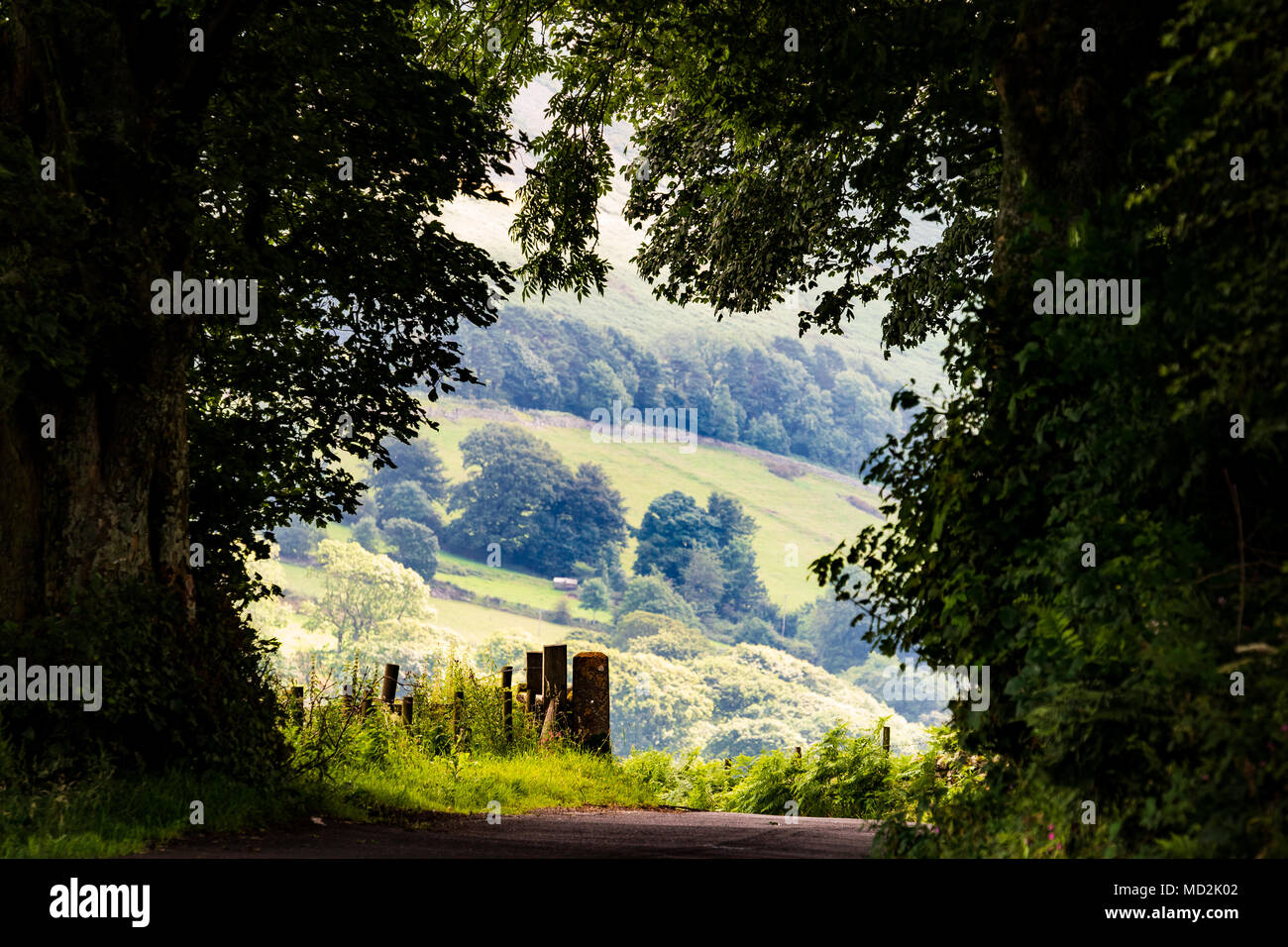 Towards Waterend, Loweswater, the Lake District, UK. Stock Photo