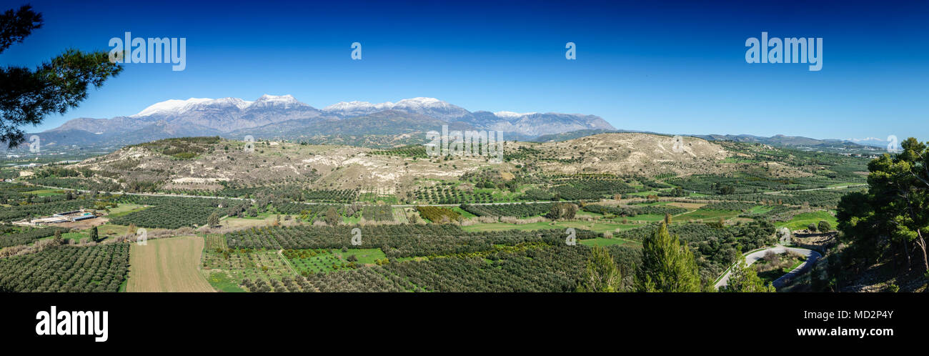 Landscapes plants hi-res stock photography and images - Page 2 - Alamy