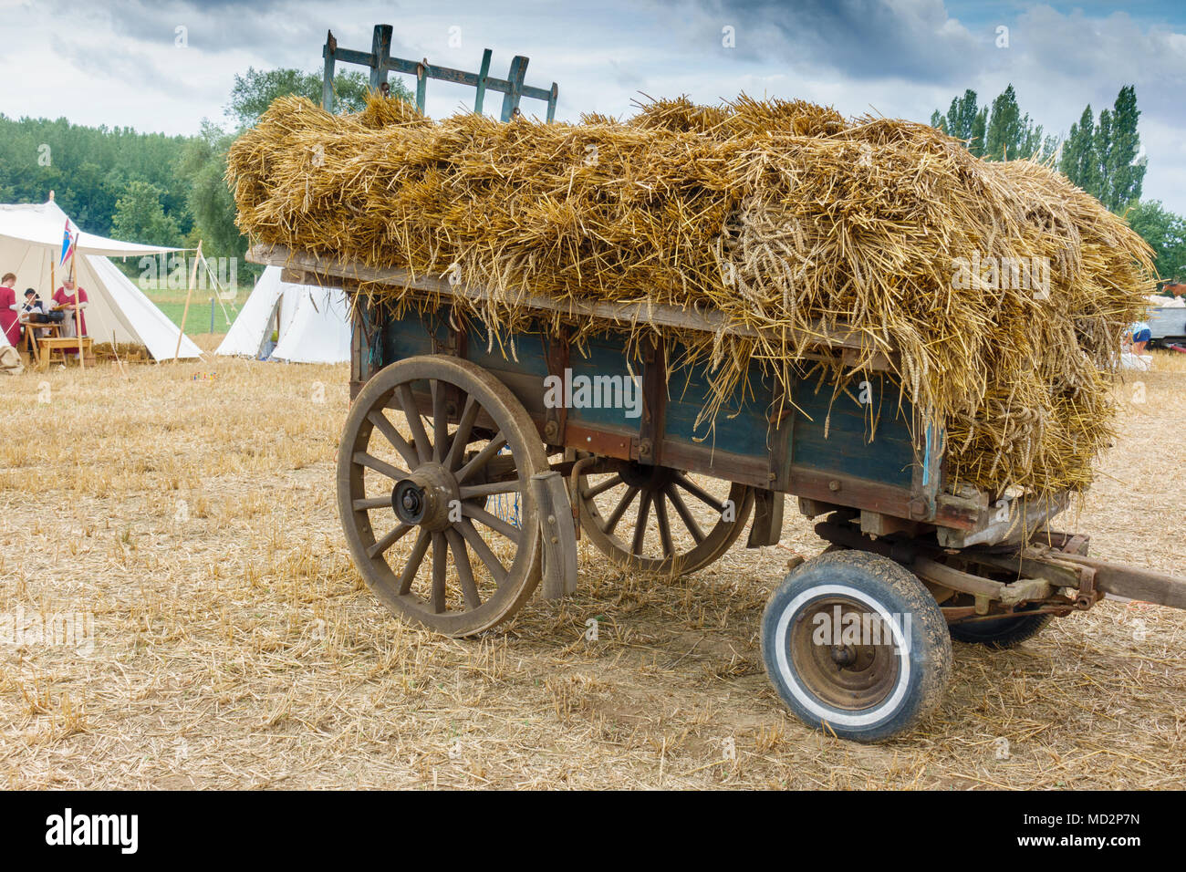Wheeled cart full of hay stack Stock Photo Alamy