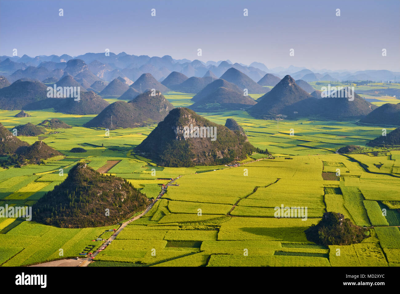 China, Yunnan, Luoping, Fields of rapeseed flowers in bloom Stock Photo