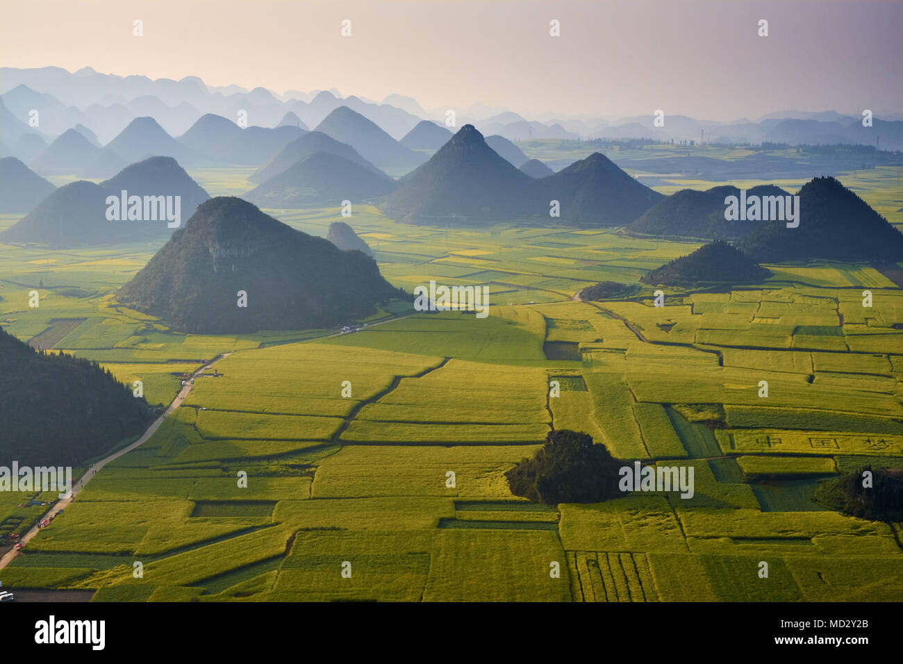 China, Yunnan, Luoping, Fields of rapeseed flowers in bloom Stock Photo