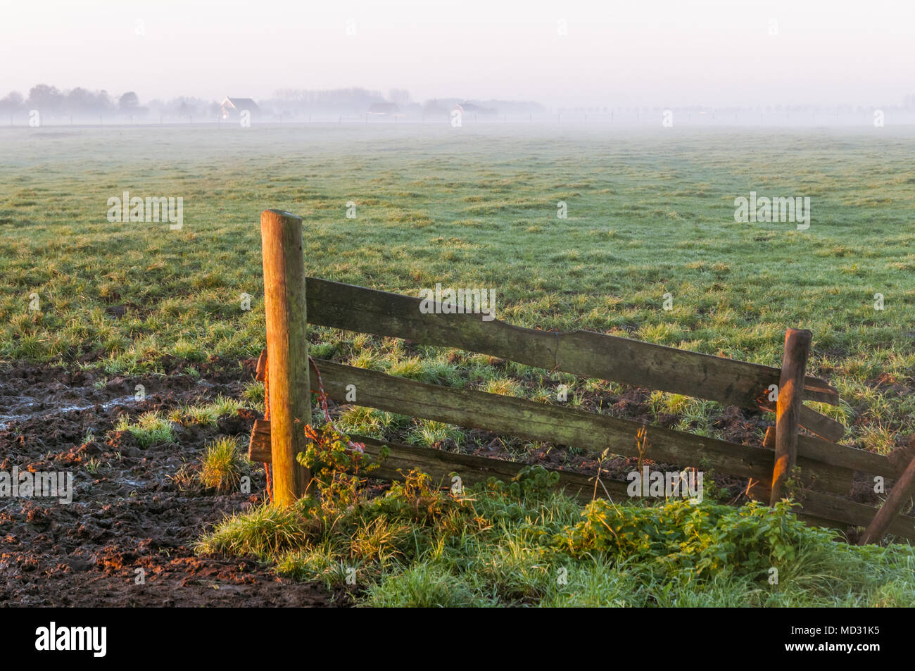 A wooden fence on farmland is lit during sunrise on a beautiful quiet misty morning in Holland. Stock Photo
