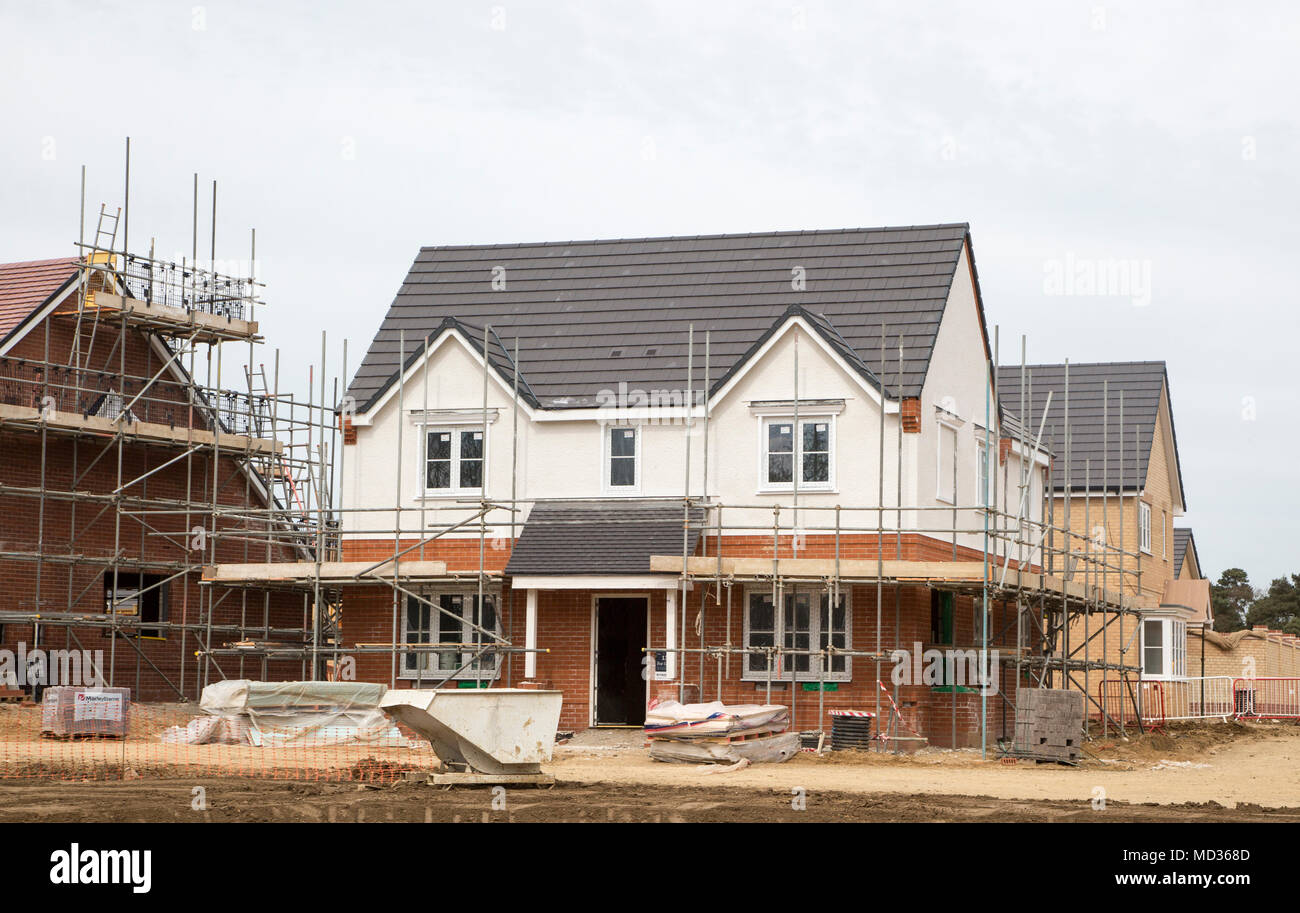 Bloor Homes new Longwood Fields housing development, Woodbridge, Suffolk, England, UK Stock Photo