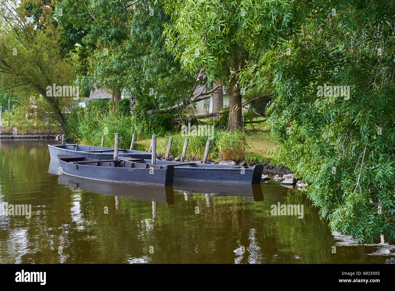 France, Loire-Atlantique, regional parc of Brière, Saint Joachim Stock Photo