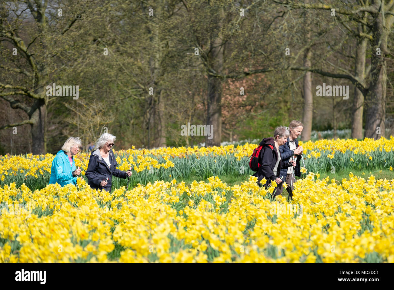 Sefton Park, Liverpool. 18th Apr, 2018. UK Weather: People enjoying the warm weather as the sun comes out early this morning at Sefton Park in Liverpool on Wednesday, April 18, 2018. Warm weather is expected to bring temperatures across the UK rising to above 20 degrees celsius today. © Christopher Middleton/Alamy Live News Stock Photo