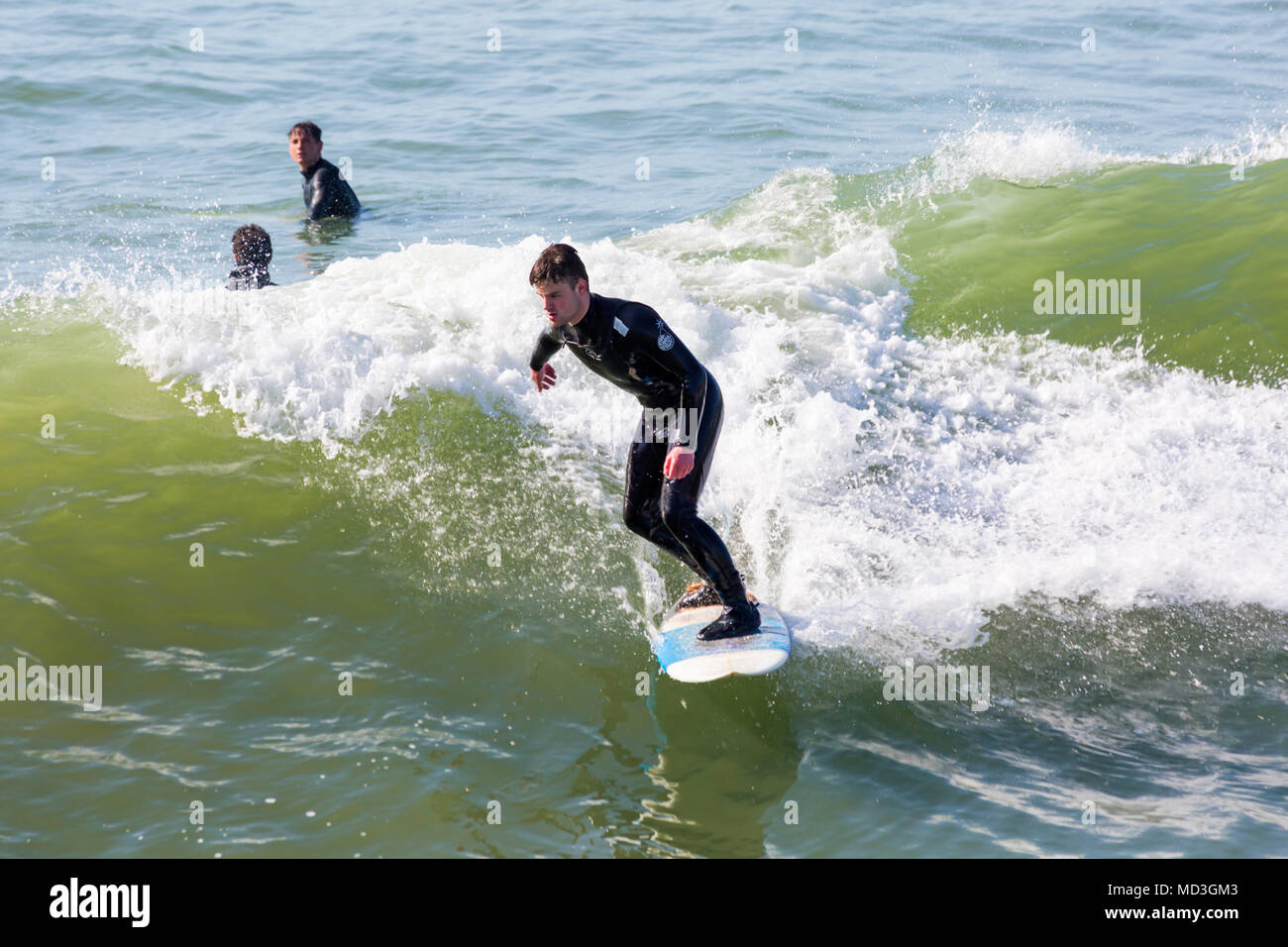 Rip Curl Sportswear Company Logo Editorial Image - Image of holded, emblem:  114240430