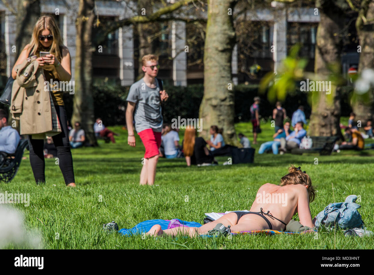 London, UK. 18th April 2018. The cherry blosom and sun provide a perfect excuse to strip off, relax, chat and take selfies - A sunny day in Green Park brings out tourists and office workers to enjoy the first truly hot day of the year. Credit: Guy Bell/Alamy Live News Stock Photo