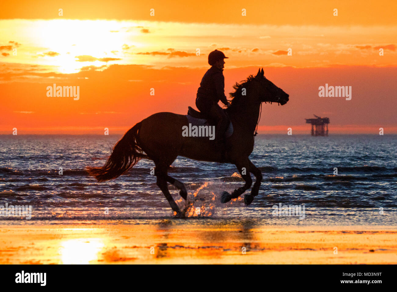 Horse Riding Into Sunset