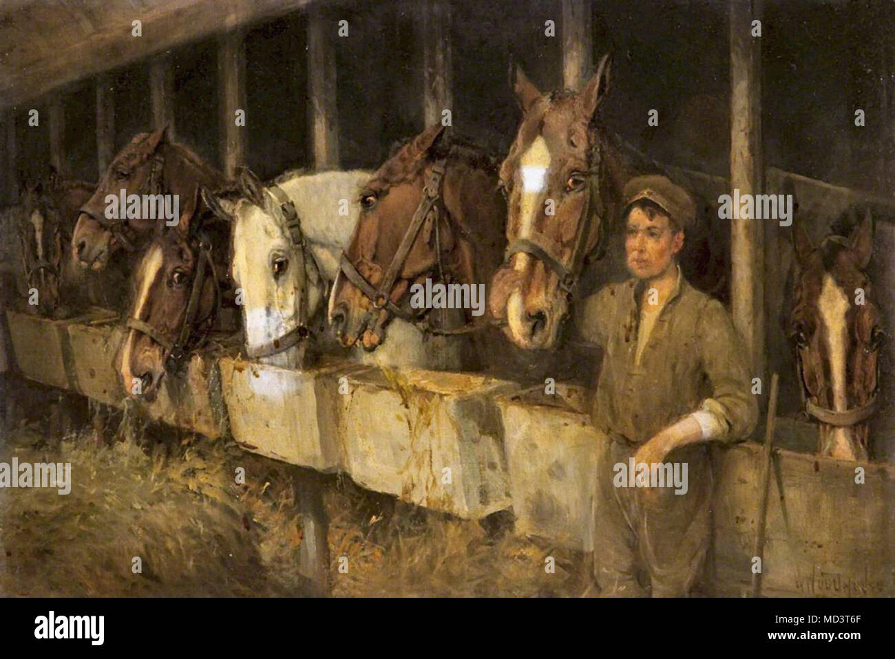 Woodhouse William Army Horses in the Stable Stock Photo Alamy
