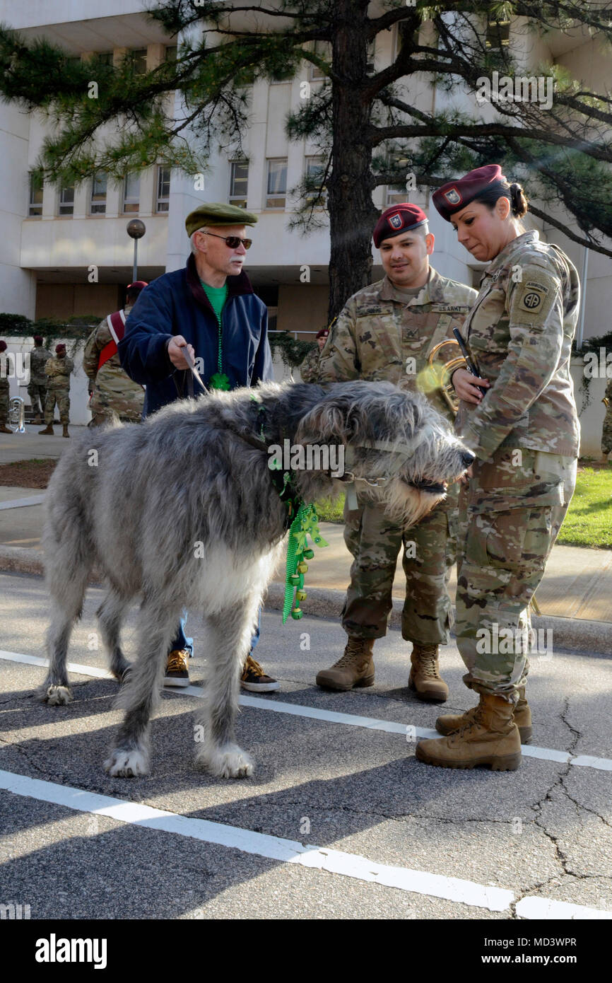Irish Wolfhound Pants Irish Wolfhound Pants