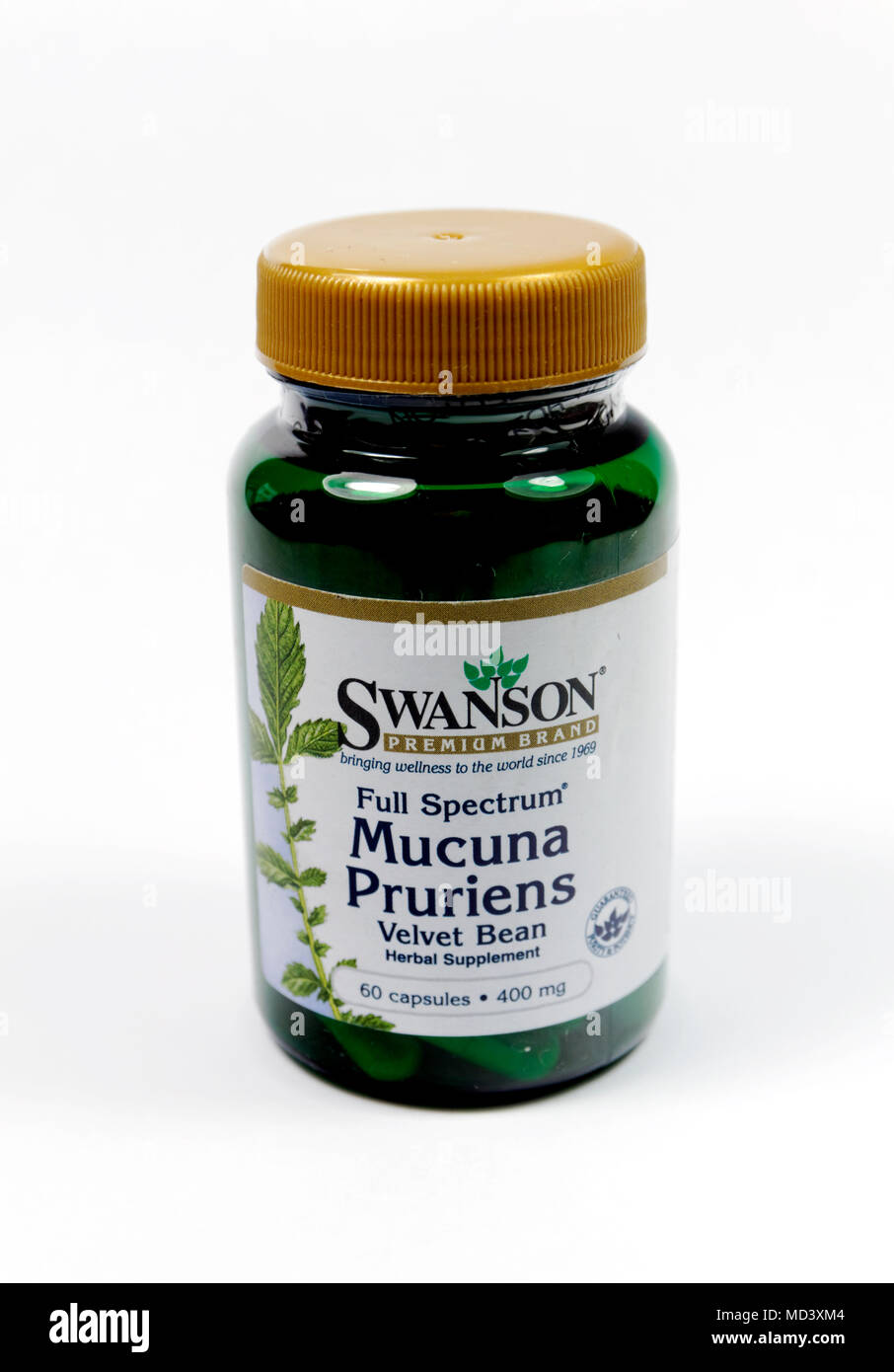 Bottle of Macuna Pruriens Capsules. Stock Photo