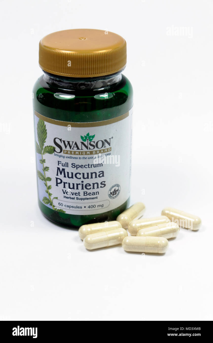 Bottle of Macuna Pruriens Capsules. Stock Photo