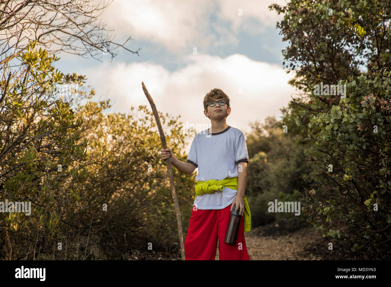 Boy exploring in woodlands, Thousand Oaks, California, US Stock Photo