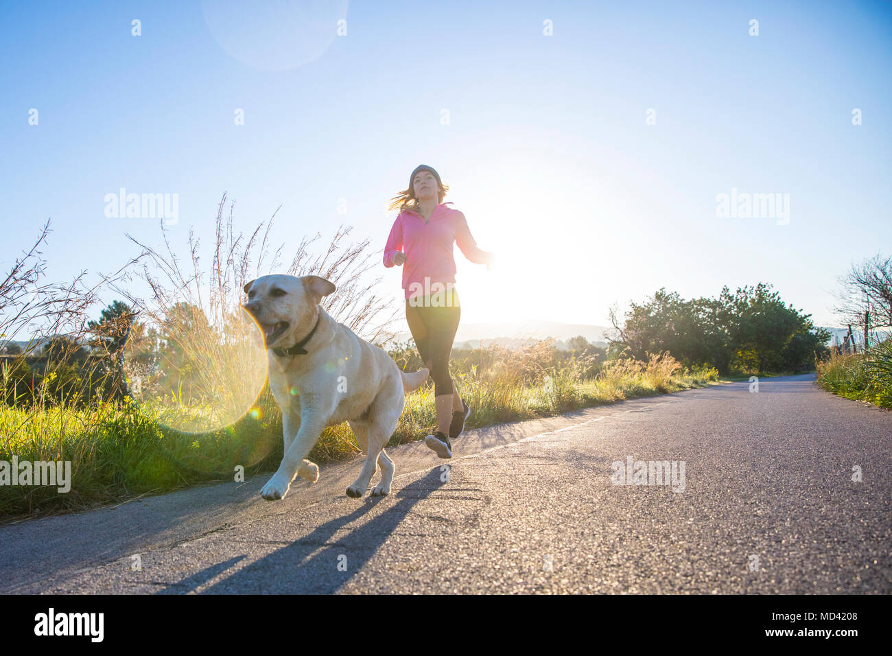 Young woman running along rural road with pet dog, low angle view Stock Photo