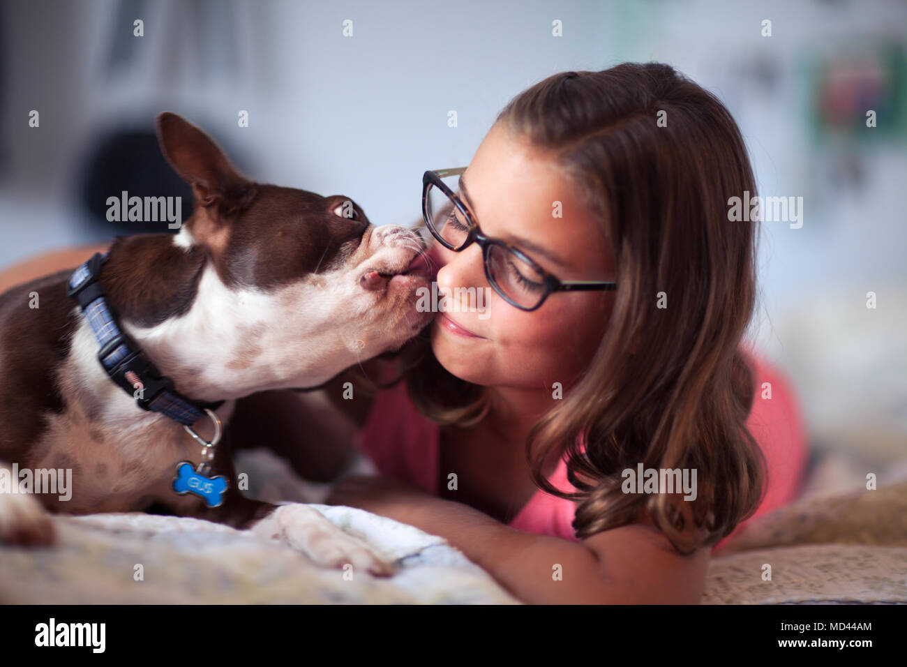 Dog licking girl face hires stock photography and images Alamy