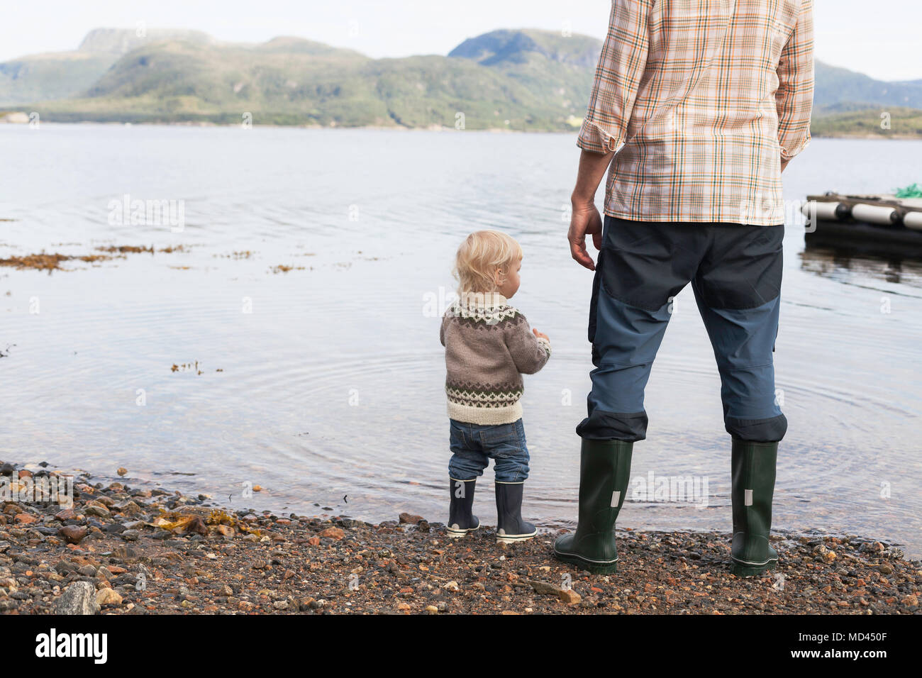Toddler and father at fjord water's edge looking out, Aure, More og Romsdal, Norway Stock Photo