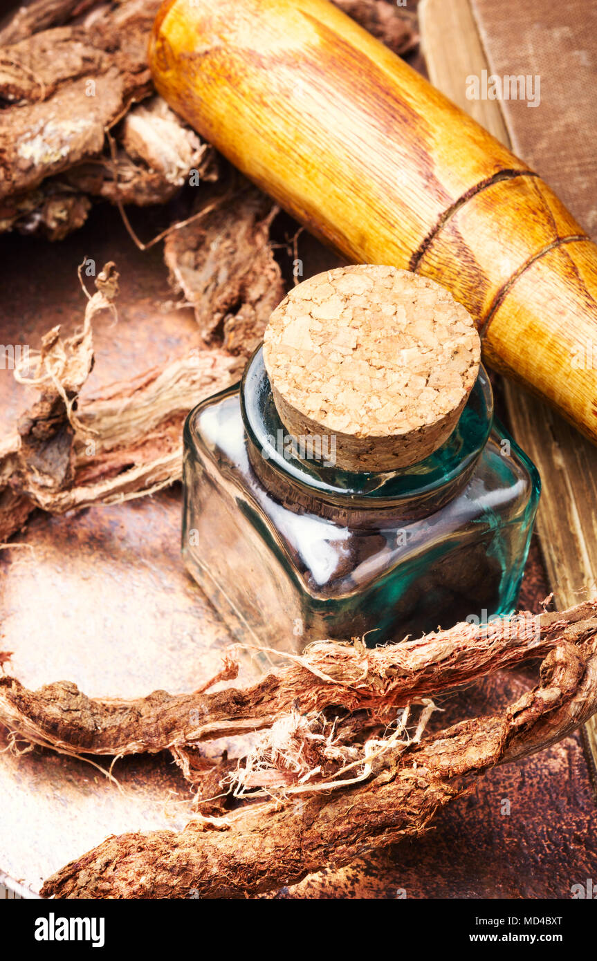 root Hedysarum popular traditional medicine of traditional medicine Stock Photo