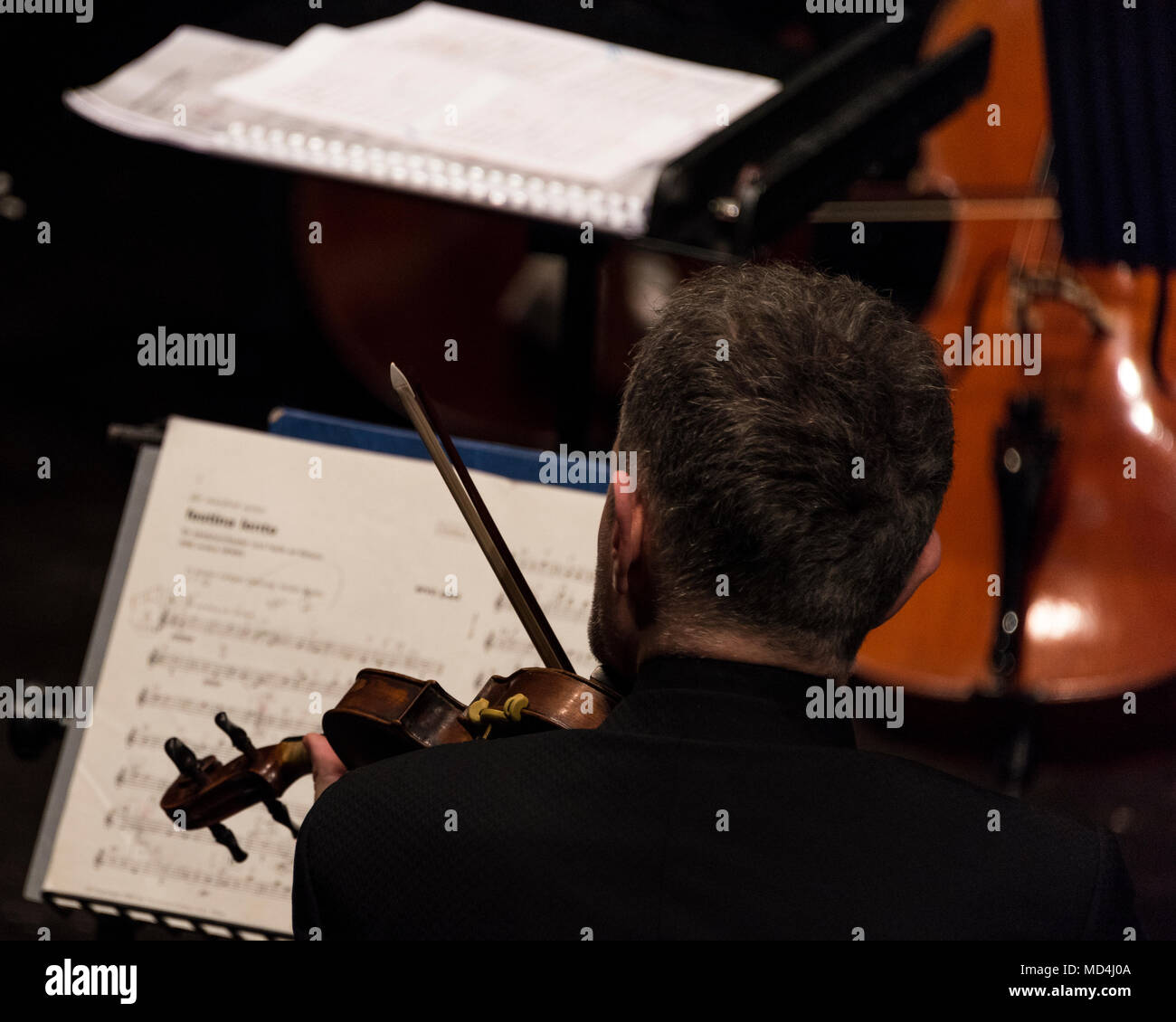 Male violinist playing during orchestra rehearsals Stock Photo