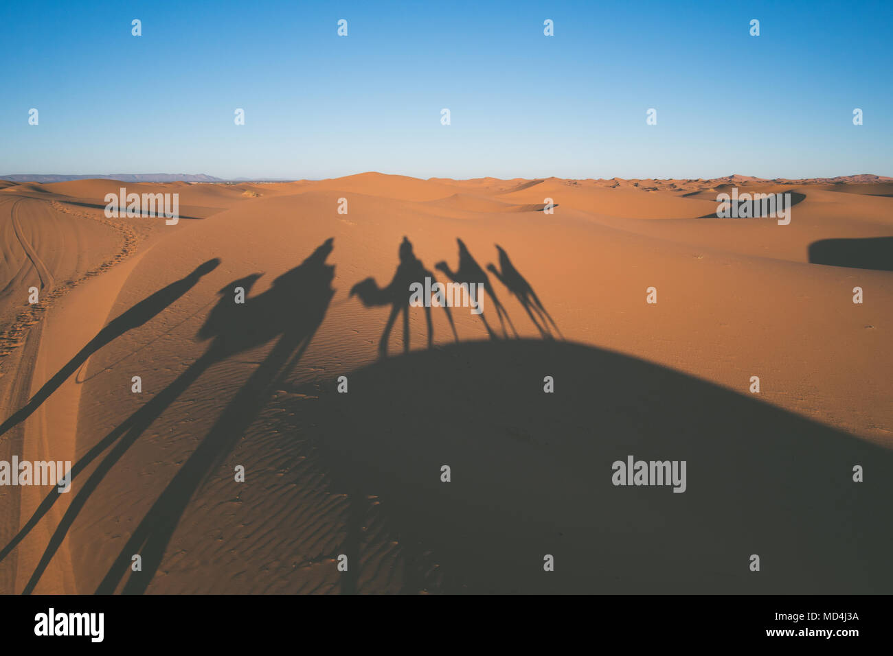 Vintage looking image of tourists riding camels Sahara desert with camel shadows on a sand Stock Photo
