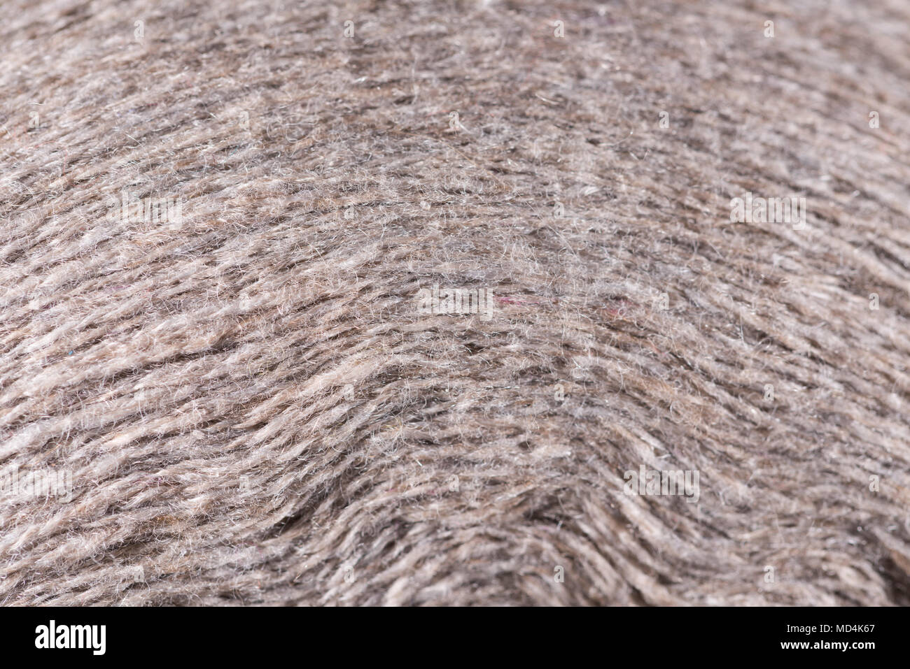 Wool thin thread macro closeup Stock Photo - Alamy