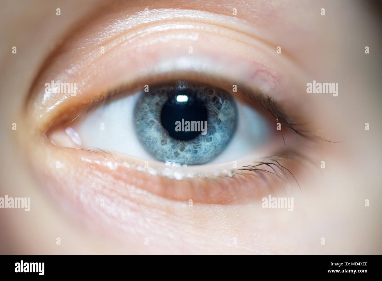 Dilated Pupils Attraction Blue Eyes