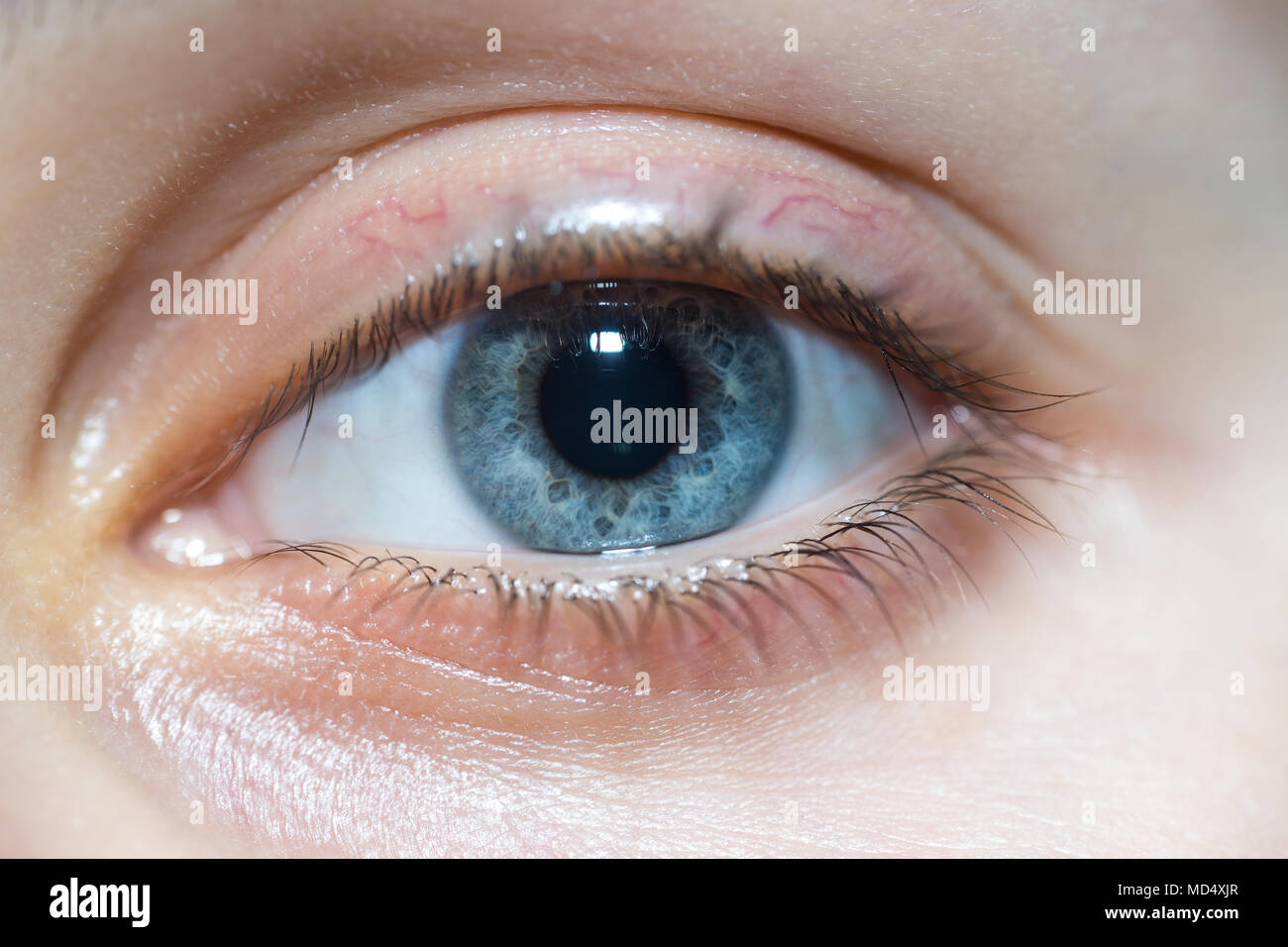 Beauty woman face blue eyes close up hi-res stock photography and ...