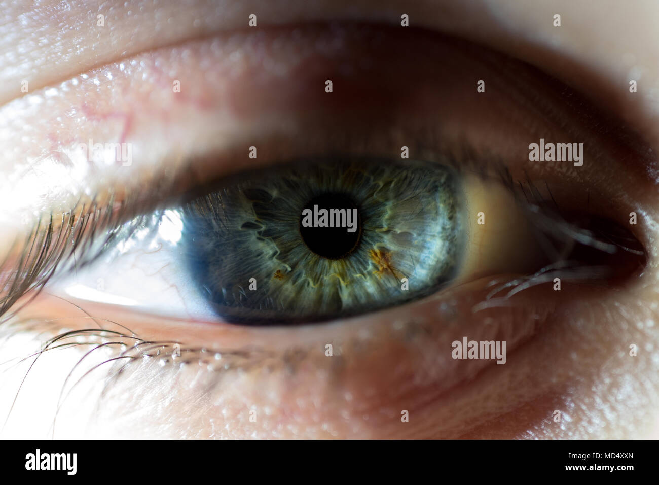 Blue eyes close up woman hi-res stock photography and images - Alamy