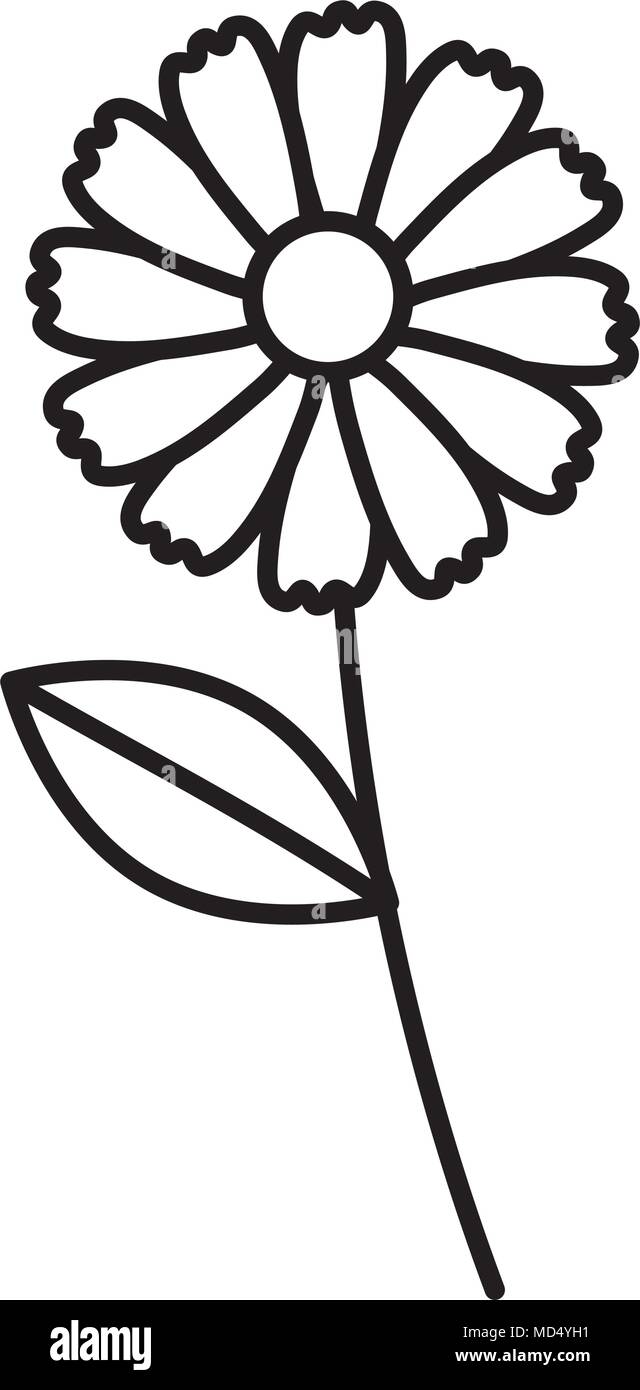 beautiful flower drawing monochrome Stock Vector Image & Art - Alamy
