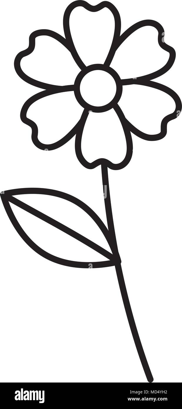 beautiful flower drawing monochrome Stock Vector Image & Art - Alamy