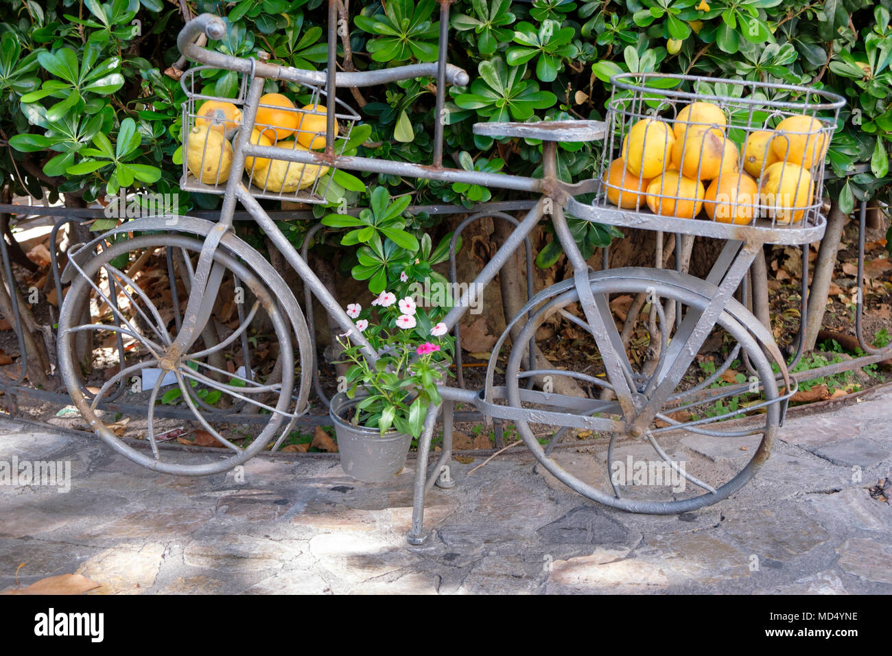 Oranges on a bicycle for decoration, Soller, Mallorca, Spain Stock Photo