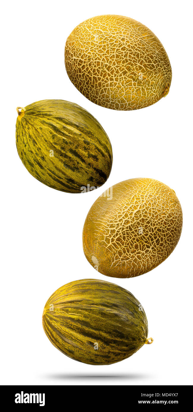 Falling cantaloupe golden melons isolated on white background with clipping path Stock Photo