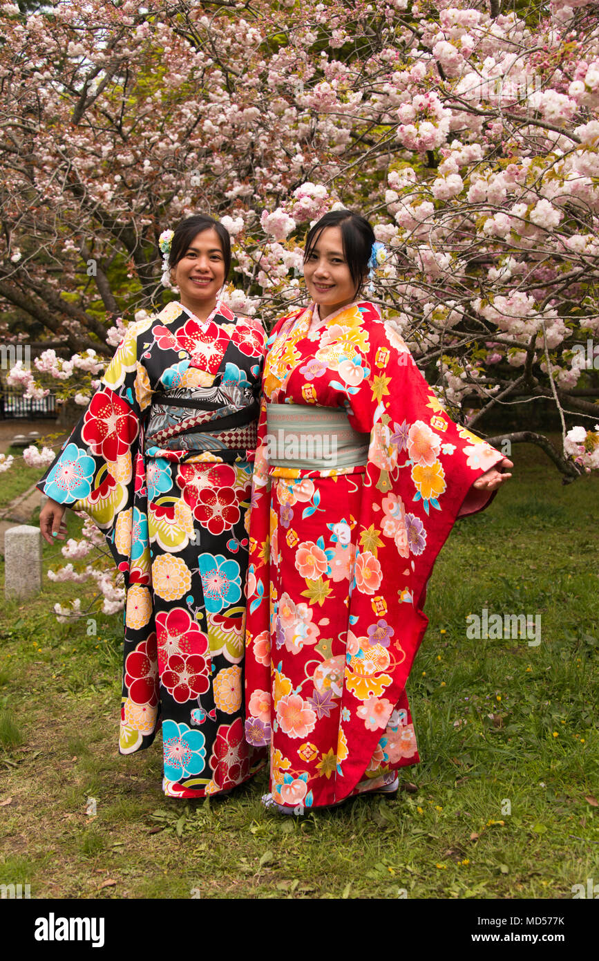 Ladies in traditional Japanes dress under cherry tree in blossom, Imperial Palace Gardens, Kyoto, Japan Stock Photo