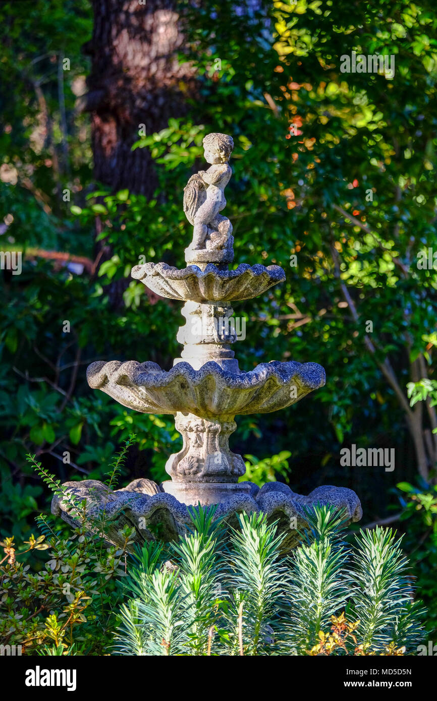 Ornamental three tiered baroque style stone bird bath fountain, with a cherub on top, in a garden setting Stock Photo