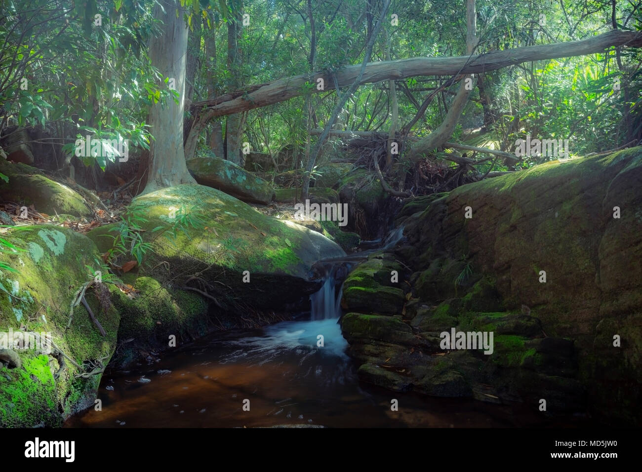 Waterfall at the Royal National Park,